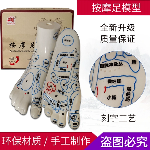 Площадь стопы модели стопы модели человека модели модели здоровья массаж терапия ноги меридиан, висящая диаграмма маленькая нога