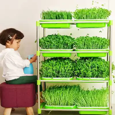 Bean sprouts seedling tray Food grade soilless cultivation tray Bud tray Full set of bean sprouts green small plate pea seeds