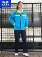 Служба услуг Webmaster осенний костюм