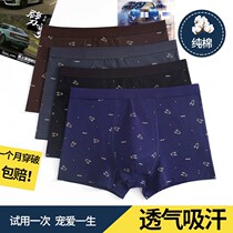 Mens underwear mens boxer cotton mens trousers head breathable boys four-corner leggings middle-aged mens underwear shorts