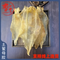 Earth Cod Mother Gum Pregnant pregnant woman nourishing nutritional products Seafood Dry Goods Postoperative Fish Belly fish Bladder Gum Fish Glue