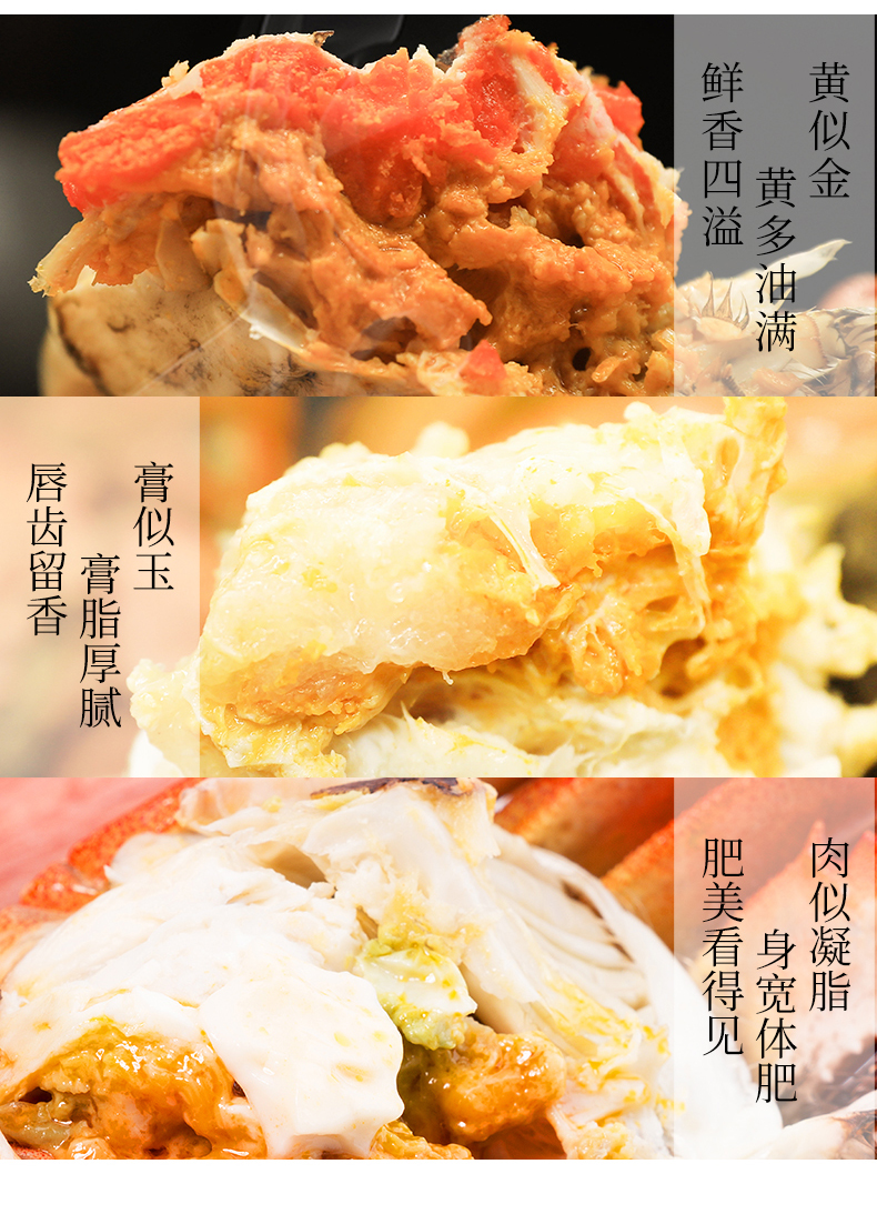 天猫超市定制 蟹太太 3688型大闸蟹礼券 公蟹3.5两+母蟹2.5两 共8只 图5
