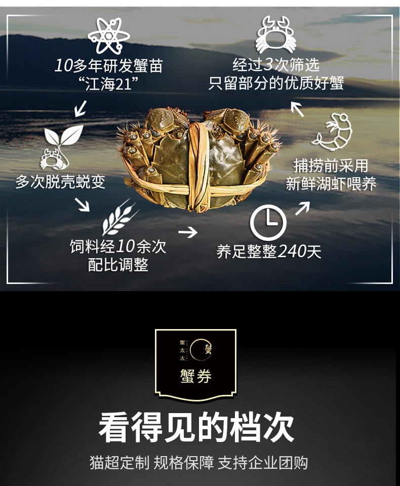 天猫超市定制 蟹太太 3688型大闸蟹礼券 公蟹3.5两+母蟹2.5两 共8只 图7