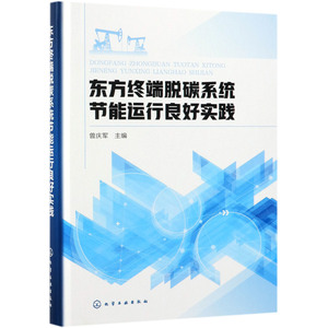 东方终端脱碳系统节能运行良好实践(精)