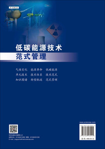 低碳能源技术范式管理(精)