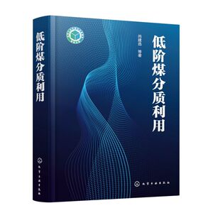 低阶煤分质利用(精)