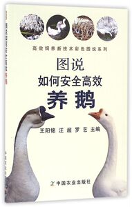 图说如何安全高效养鹅/高效饲养新技术彩色图说系列