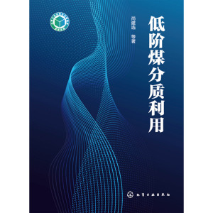 低阶煤分质利用(精)