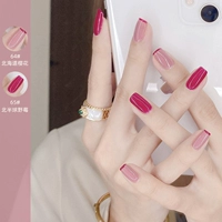 64#Hokkaido Sakura+65#Северное полушарие Wildberry Wildberry