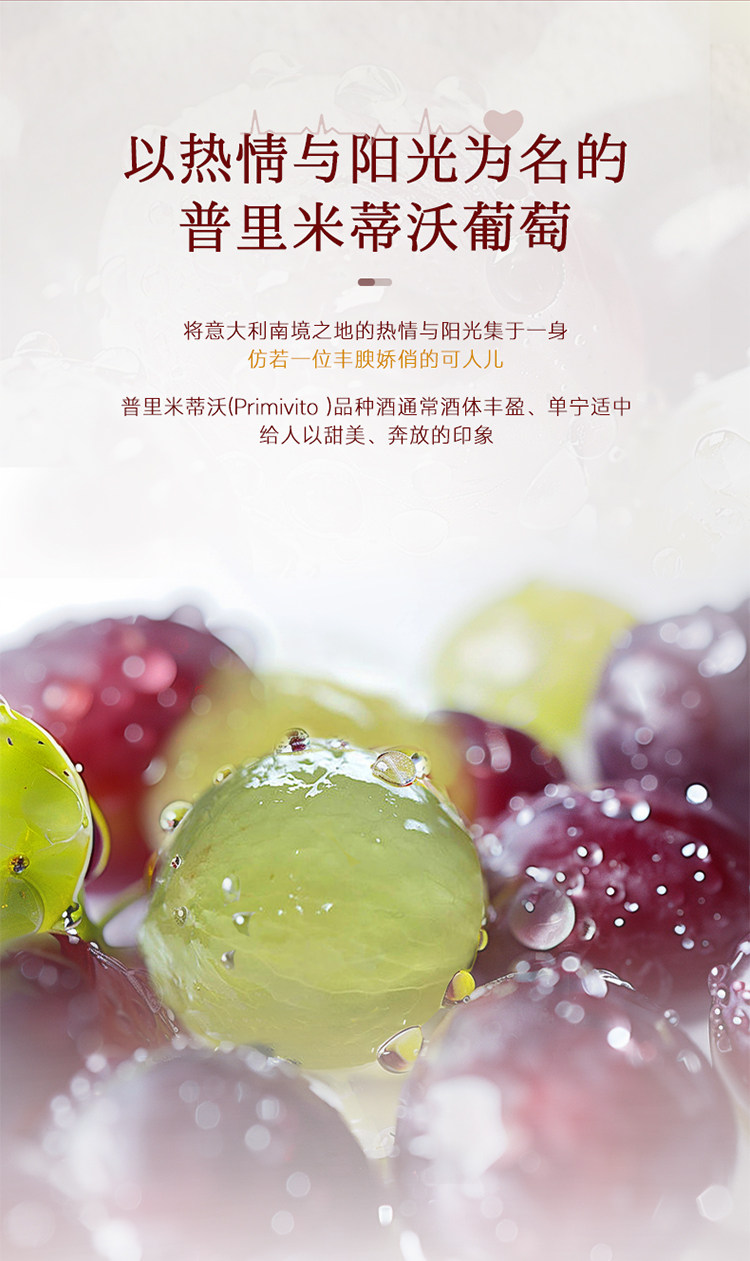 安享好物 安享C级葡萄酒-菲特瓦露拉 意大利 半甜红酒 国标 