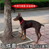 Цепь для собак 𫔀Цепь для сельской сторожевой собаки из нержавеющей стали 𫔀Привязная веревка для собак, средний и большой поводок для собак, устойчивый к укусам и взрывозащищенный