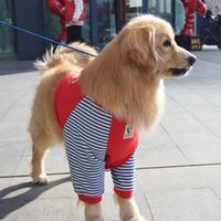 Красные налокотники