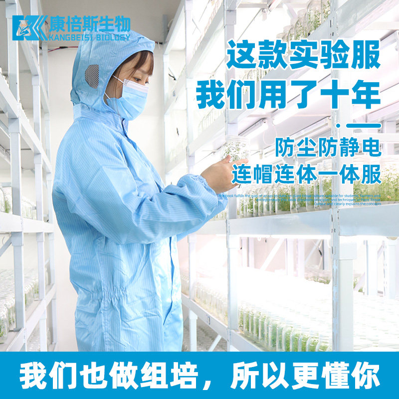 洁净服连体无尘服防尘服防静电工作服连帽实验服净化服全身防护服