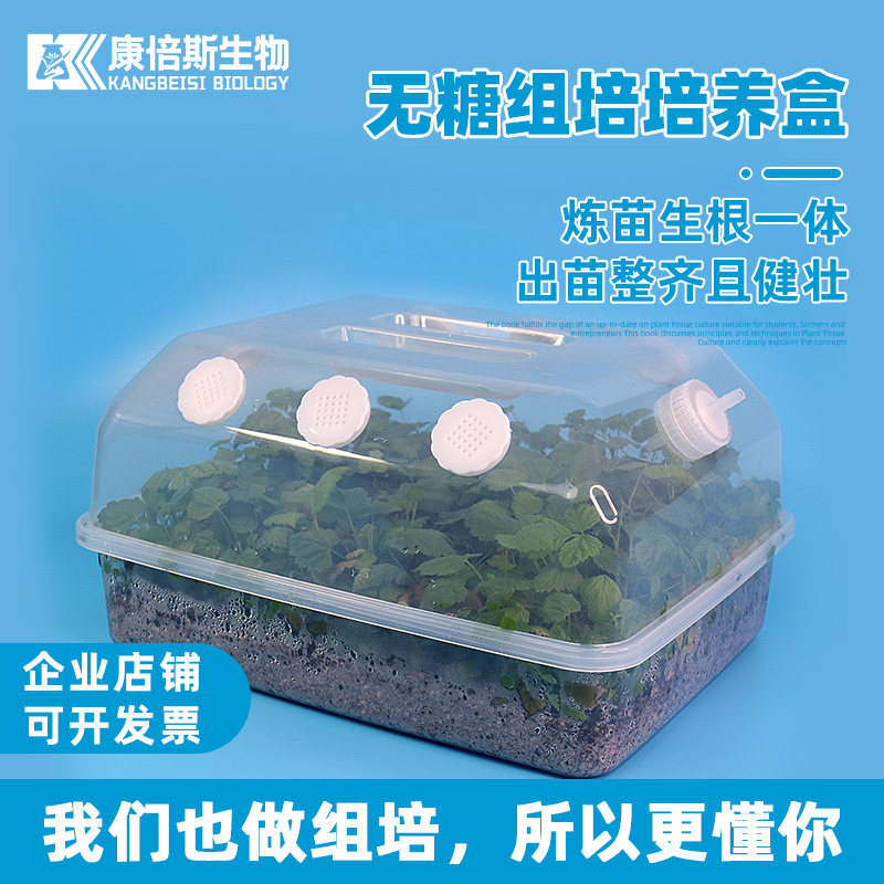 无糖组培盒耐高温高压培养盒透气孔 CO2控制系统 康倍斯组培套装