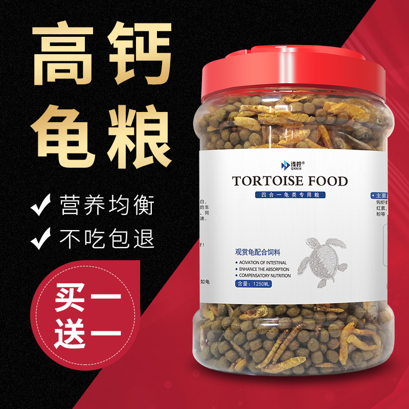 Tortoise Grain Turtle Feed Basil Tortoise Turtle Tortoise Tortoise Tortoise Tortoise Tortoise Tortoise Tortoise Tortoise Tortoise Tortoise Tortoise Tortoise Tortoise Tortoise Tortoise Tortoise Tortoise Tortoise Tortoise