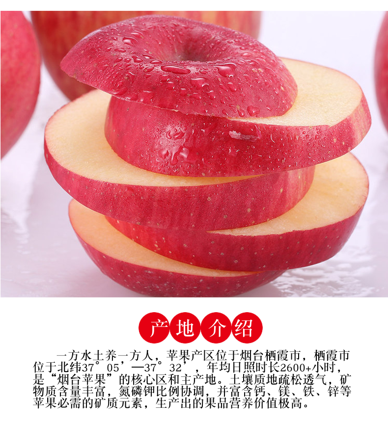 红富士栖霞苹果*5斤 图7
