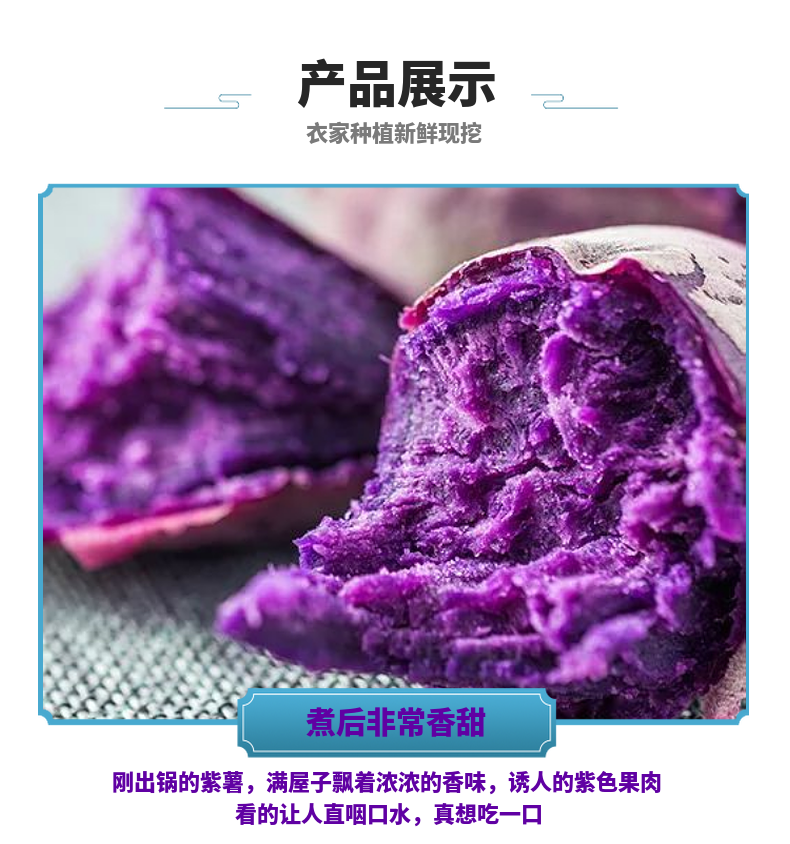 【炳天旗舰店】鲜紫薯板栗紫薯5斤