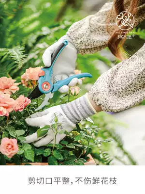 Xie Binglian family gardening pruning shears flower art scissors fruit scissors garden tools bonsai rough cutting fresh cut flower scissors