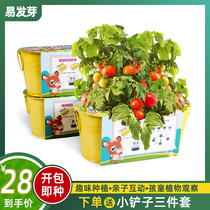 Children grow small potted plants creative flower grower mini cucumber tomato diy indoor observation plant kindergarten gift