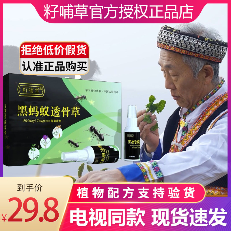 Flagship Store Seed Feeding black Ant Bone Grass Paste TV Same neck and shoulder waist leg Shuten Official spray-Taobao