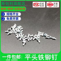 Galvanized iron rivets solid rivets M3M4M5M6M8*5x6x8x10x16 GB109 flat head percussion rivets