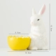 Лоток для яиц в форме кролика с розовыми ушками (желтый)