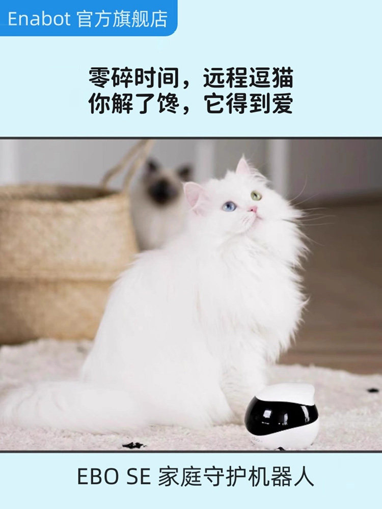 Enabot Smart Pet Companion Robot Ebo Home Camera Movable Cat Remote Control Wireless Monitoring