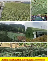 Direct Marketing Defense Aerial Photo Of Hidden Nets of Hidden Nets of Greening Nets of Shading Nets of Shading Nets of Greening Covered Nets