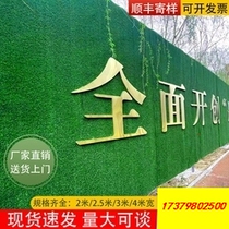 Simulation Lawn Carpet Outdoor Fake Grass Artificial Turf Artificial Green Green Plant Decoration Indoor Plastic Site Enclosure