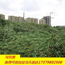 Air defense shooting satellite shelter nets sunscreen outdoor mountain pseudo-clothing network camouflan mesh decoration green plant anti-fake web