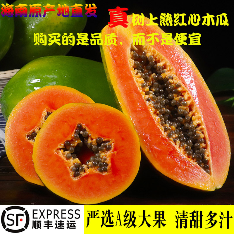 三亚新鲜椰皇9个装｜孕妇也能安心吃的“水果牛奶”来了！-椰青-淘宝百科网