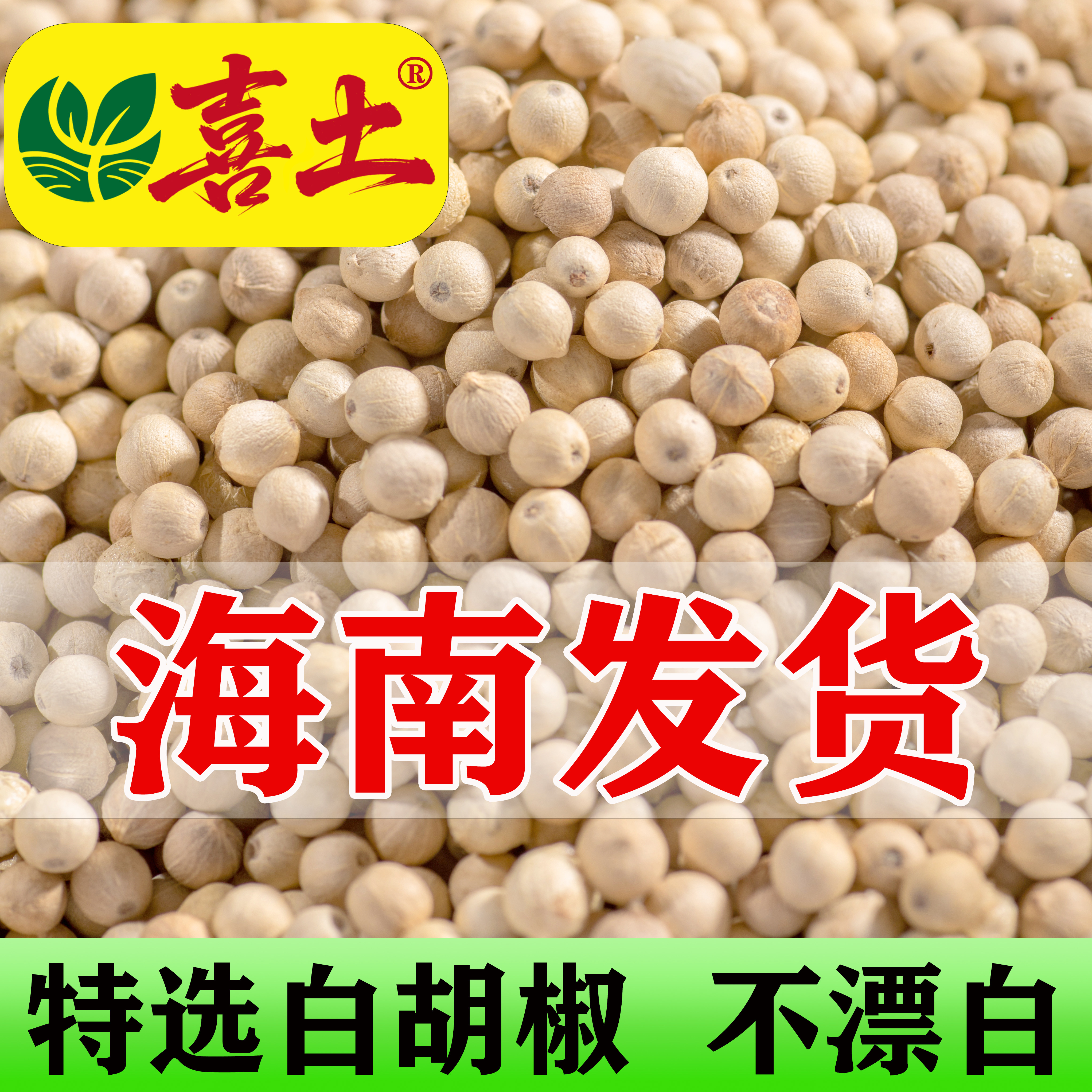 Xitu特選白胡椒 500g 海南省産本場の農家製挽きたて白胡椒パウダー 業務用・家庭用特選商品