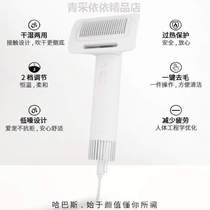 Hair blowing low noise dog small hair hair comb and massage pet special products to bathe? Dog Tea Cup Artificial Dog