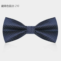 Тибетская серебряная точка