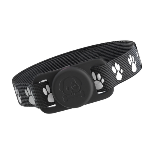 Pet anti-lost artifact Apple and Android locator