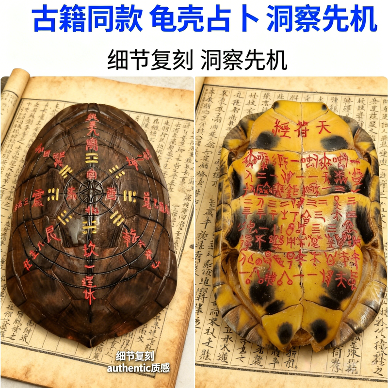 Authentic Turtle Shell for Hexagram Divination, Oracle Bone Script, Turtle Shell, Introductory Tool for the I Ching, Clean Home Entrance Decoration Authentic Turtle Shell for Hexagram Divination, Oracle Bone Script, Turtle Shell, Introductory Tool for the I Ching, Clean Home Entrance Decoration