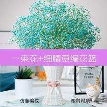 Multicolored stars dry flower bouquets real flower vase do not forget my eternal flower living room decoration