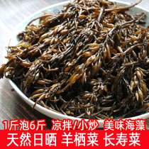 Natural sunburn Goat Shelter dry goods 500g-hole head specie Goat Shelter Vegetable mixed with long suredish sea barley seagrass seaweed