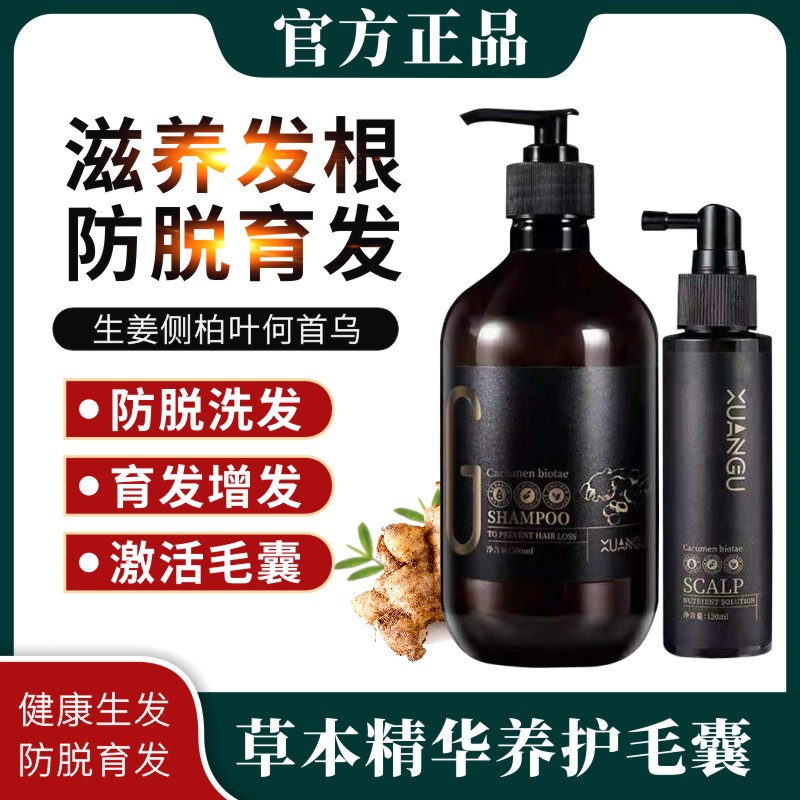 Xuangu ginger shampoo anti-hair loss, fluffy, anti-dandruff, anti-itching, oil-controlling, men's and women's old ginger shampoo