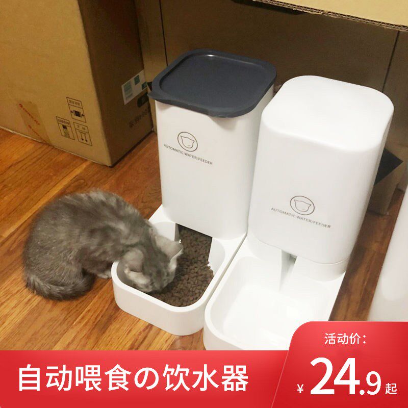 Pet Theiner Feeders Kitty Cat Bowls Pooled water Drinking water dispenser Two dogs Water One drinking water dispenser Drinking water dispenser