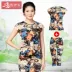 [Áo + Quần] Áo sơ mi nữ mùa hè Áo thun nữ bảy quần Quần thể thao hai mảnh cỡ lớn