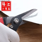 Промышленные железные ножницы Changzui Практическое садовое инструмент выбора фруктов, режущие филиалы, ножницы для садовых ножниц