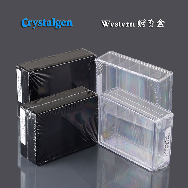 western blot抗体孵育盒灭菌透明黑色单格6格硅化处理CG科晶湿盒