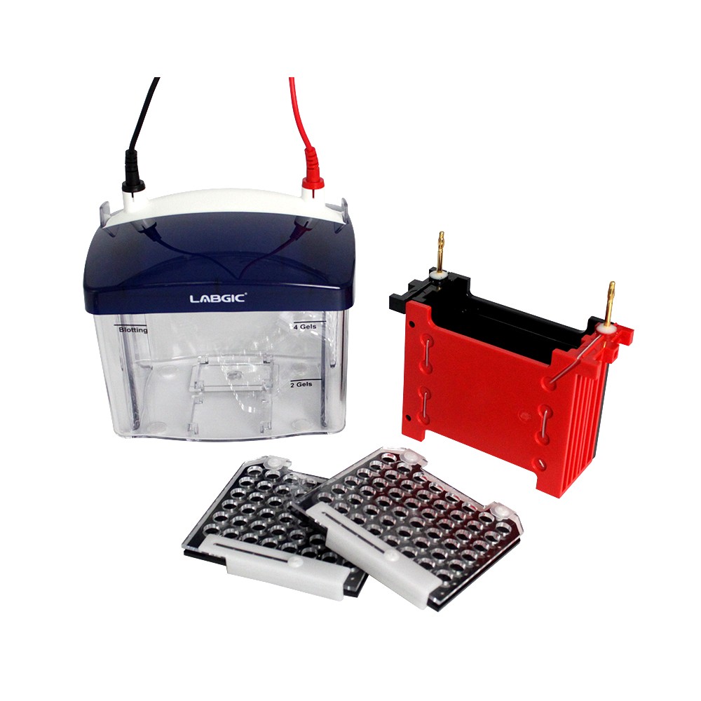 LABGIC L-VET-TRANS2 小型转印槽