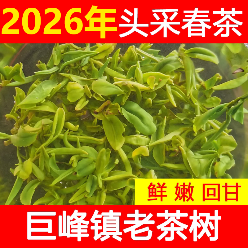 Rizhao Green Tea 2026 Early Spring Harvest Premium One Bud One Leaf Pea Fragrance Lanshan Jufeng Tea Directly from Farmers Rizhao Green Tea 2026 Early Spring Harvest Premium One Bud One Leaf Pea Fragrance Lanshan Jufeng Tea Directly from Farmers