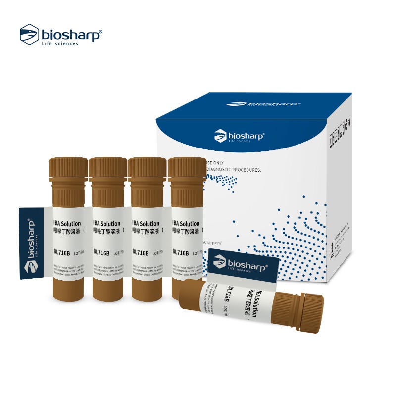 Biosharp BL716A BL716B 吲哚丁酸溶液（IBA）1mg/ml