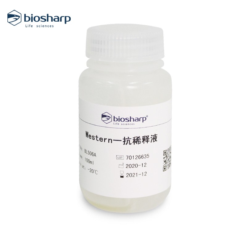 WesternBlot一抗稀释液WB biosharp BL506A开票