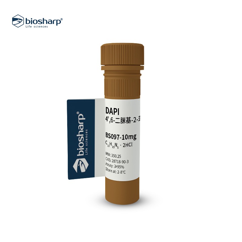 BS097-10mg 试剂 DAPI