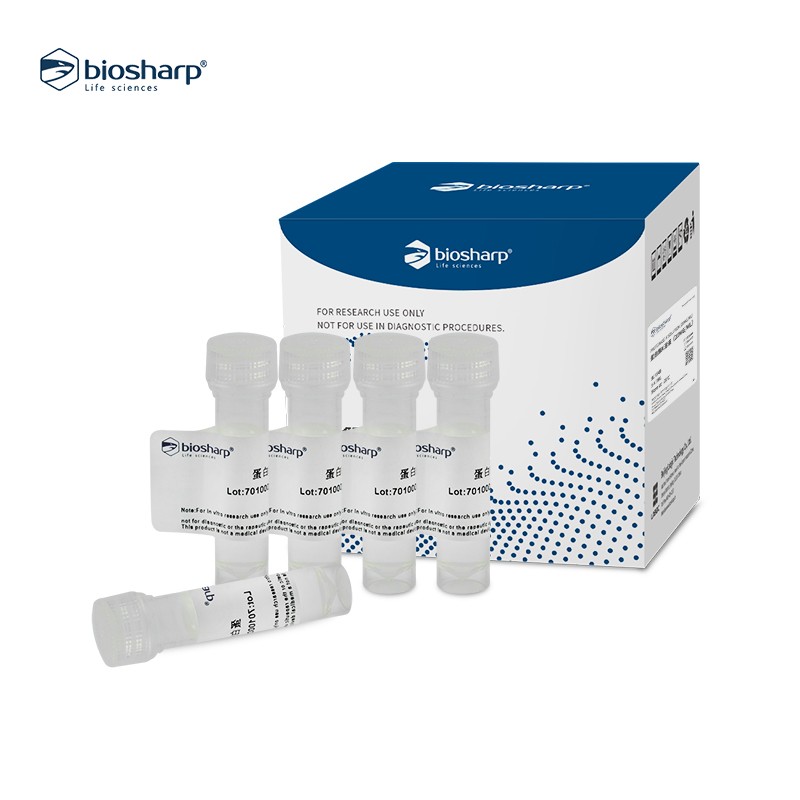 Biosharp BL104AB 蛋白酶K溶液 (20mg/ml)