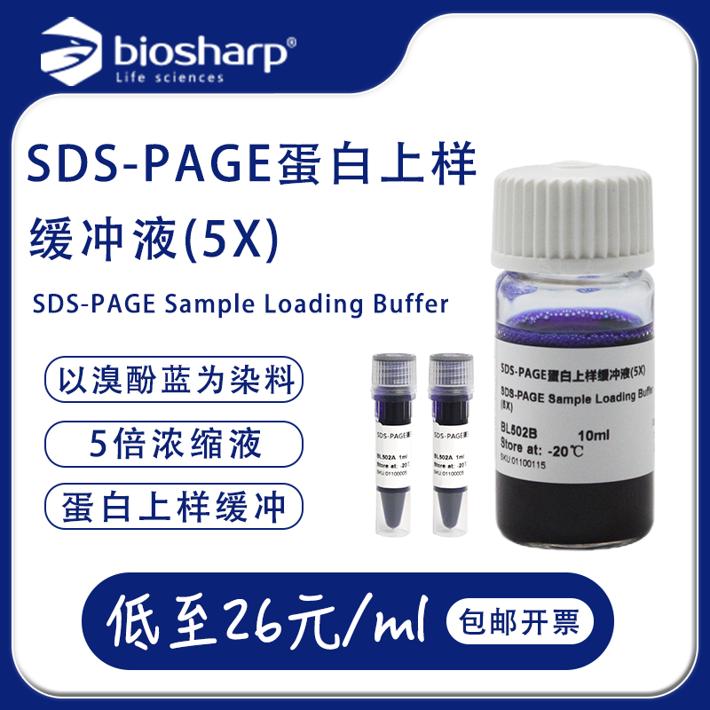 蛋白上样缓冲液(5X) Biosharp 2*1ml/包 BL502A SDS-PAGE Buffer